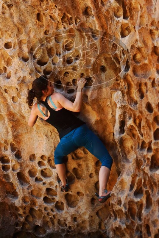 Bouldering in Hueco Tanks on 06/23/2019 with Blue Lizard Climbing and Yoga

Filename: SRM_20190623_1301380.jpg
Aperture: f/4.0
Shutter Speed: 1/160
Body: Canon EOS-1D Mark II
Lens: Canon EF 50mm f/1.8 II