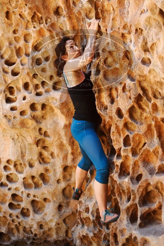 Bouldering in Hueco Tanks on 06/23/2019 with Blue Lizard Climbing and Yoga

Filename: SRM_20190623_1302050.jpg
Aperture: f/4.0
Shutter Speed: 1/125
Body: Canon EOS-1D Mark II
Lens: Canon EF 50mm f/1.8 II