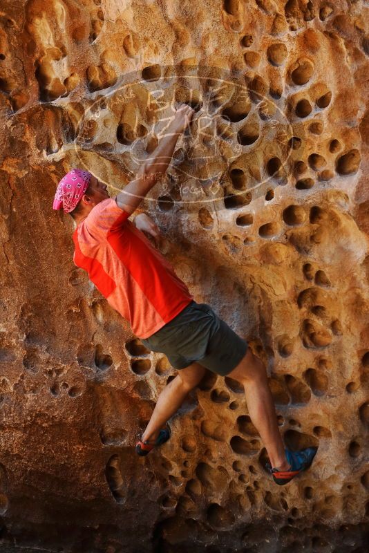 Bouldering in Hueco Tanks on 06/23/2019 with Blue Lizard Climbing and Yoga

Filename: SRM_20190623_1310370.jpg
Aperture: f/4.0
Shutter Speed: 1/125
Body: Canon EOS-1D Mark II
Lens: Canon EF 50mm f/1.8 II