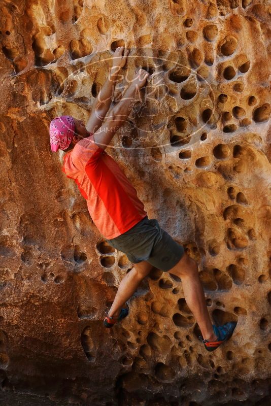 Bouldering in Hueco Tanks on 06/23/2019 with Blue Lizard Climbing and Yoga

Filename: SRM_20190623_1310390.jpg
Aperture: f/4.0
Shutter Speed: 1/125
Body: Canon EOS-1D Mark II
Lens: Canon EF 50mm f/1.8 II