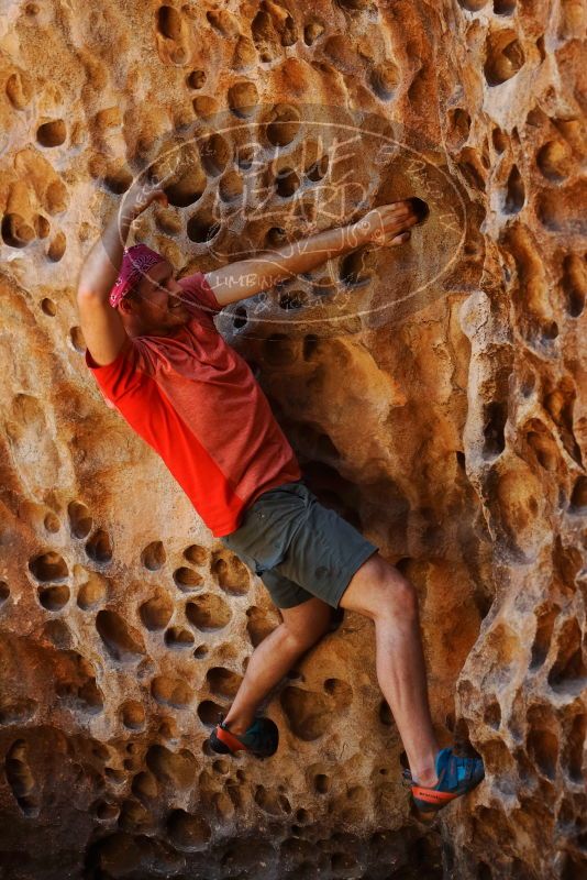 Bouldering in Hueco Tanks on 06/23/2019 with Blue Lizard Climbing and Yoga

Filename: SRM_20190623_1311110.jpg
Aperture: f/4.0
Shutter Speed: 1/125
Body: Canon EOS-1D Mark II
Lens: Canon EF 50mm f/1.8 II