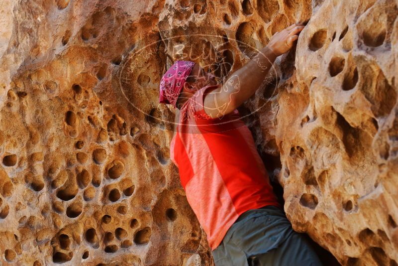 Bouldering in Hueco Tanks on 06/23/2019 with Blue Lizard Climbing and Yoga

Filename: SRM_20190623_1311350.jpg
Aperture: f/4.0
Shutter Speed: 1/160
Body: Canon EOS-1D Mark II
Lens: Canon EF 50mm f/1.8 II