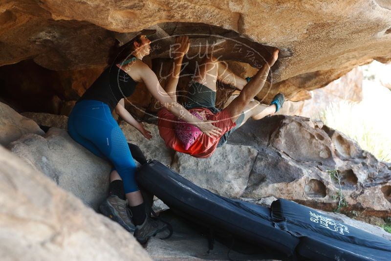 Bouldering in Hueco Tanks on 06/23/2019 with Blue Lizard Climbing and Yoga

Filename: SRM_20190623_1454540.jpg
Aperture: f/4.0
Shutter Speed: 1/250
Body: Canon EOS-1D Mark II
Lens: Canon EF 50mm f/1.8 II