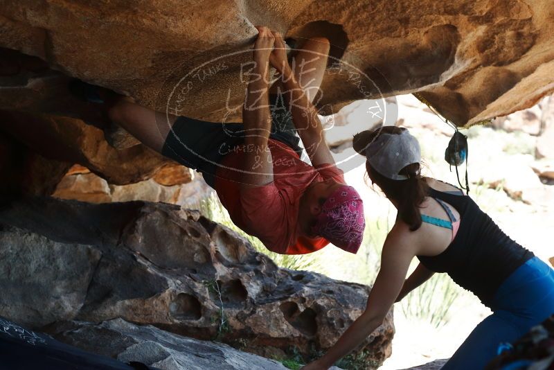 Bouldering in Hueco Tanks on 06/23/2019 with Blue Lizard Climbing and Yoga

Filename: SRM_20190623_1457450.jpg
Aperture: f/4.0
Shutter Speed: 1/800
Body: Canon EOS-1D Mark II
Lens: Canon EF 50mm f/1.8 II