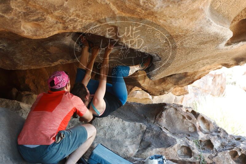 Bouldering in Hueco Tanks on 06/23/2019 with Blue Lizard Climbing and Yoga

Filename: SRM_20190623_1512200.jpg
Aperture: f/4.0
Shutter Speed: 1/250
Body: Canon EOS-1D Mark II
Lens: Canon EF 50mm f/1.8 II