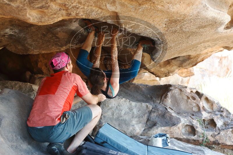 Bouldering in Hueco Tanks on 06/23/2019 with Blue Lizard Climbing and Yoga

Filename: SRM_20190623_1512220.jpg
Aperture: f/4.0
Shutter Speed: 1/200
Body: Canon EOS-1D Mark II
Lens: Canon EF 50mm f/1.8 II