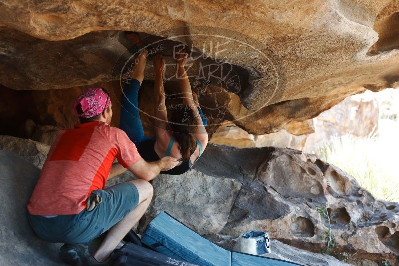 Bouldering in Hueco Tanks on 06/23/2019 with Blue Lizard Climbing and Yoga

Filename: SRM_20190623_1512230.jpg
Aperture: f/4.0
Shutter Speed: 1/320
Body: Canon EOS-1D Mark II
Lens: Canon EF 50mm f/1.8 II