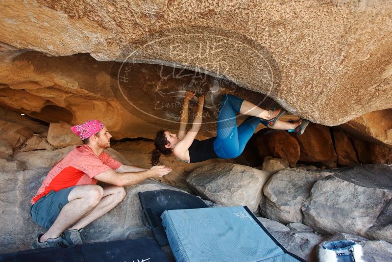 Bouldering in Hueco Tanks on 06/23/2019 with Blue Lizard Climbing and Yoga

Filename: SRM_20190623_1520540.jpg
Aperture: f/5.0
Shutter Speed: 1/200
Body: Canon EOS-1D Mark II
Lens: Canon EF 16-35mm f/2.8 L