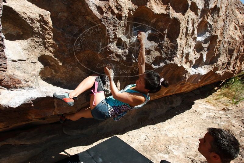 Bouldering in Hueco Tanks on 06/28/2019 with Blue Lizard Climbing and Yoga

Filename: SRM_20190628_1000251.jpg
Aperture: f/6.3
Shutter Speed: 1/320
Body: Canon EOS-1D Mark II
Lens: Canon EF 16-35mm f/2.8 L