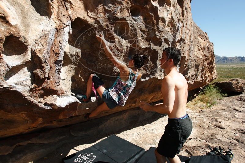 Bouldering in Hueco Tanks on 06/28/2019 with Blue Lizard Climbing and Yoga

Filename: SRM_20190628_1000310.jpg
Aperture: f/6.3
Shutter Speed: 1/320
Body: Canon EOS-1D Mark II
Lens: Canon EF 16-35mm f/2.8 L