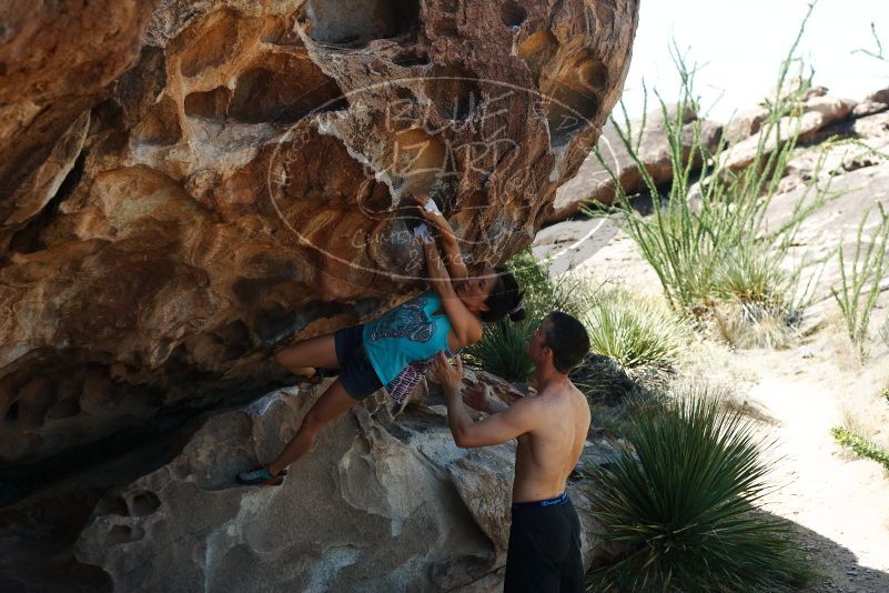 Bouldering in Hueco Tanks on 06/28/2019 with Blue Lizard Climbing and Yoga

Filename: SRM_20190628_1117410.jpg
Aperture: f/4.0
Shutter Speed: 1/500
Body: Canon EOS-1D Mark II
Lens: Canon EF 50mm f/1.8 II