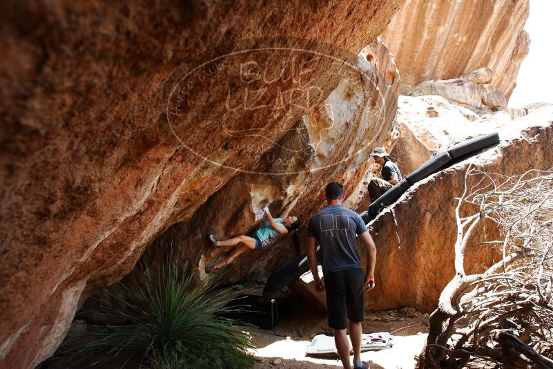 Bouldering in Hueco Tanks on 06/28/2019 with Blue Lizard Climbing and Yoga

Filename: SRM_20190628_1409090.jpg
Aperture: f/5.6
Shutter Speed: 1/320
Body: Canon EOS-1D Mark II
Lens: Canon EF 16-35mm f/2.8 L