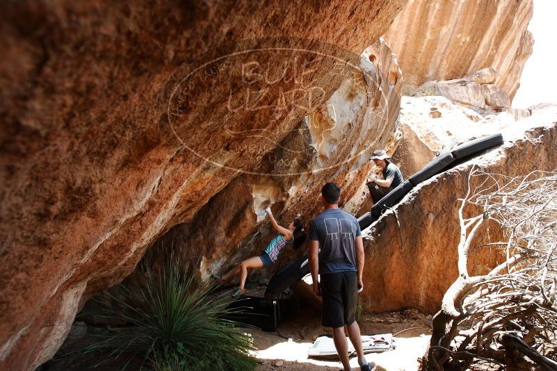 Bouldering in Hueco Tanks on 06/28/2019 with Blue Lizard Climbing and Yoga

Filename: SRM_20190628_1409290.jpg
Aperture: f/5.6
Shutter Speed: 1/320
Body: Canon EOS-1D Mark II
Lens: Canon EF 16-35mm f/2.8 L