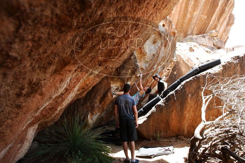 Bouldering in Hueco Tanks on 06/28/2019 with Blue Lizard Climbing and Yoga

Filename: SRM_20190628_1412450.jpg
Aperture: f/5.6
Shutter Speed: 1/320
Body: Canon EOS-1D Mark II
Lens: Canon EF 16-35mm f/2.8 L