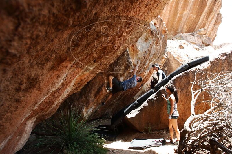 Bouldering in Hueco Tanks on 06/28/2019 with Blue Lizard Climbing and Yoga

Filename: SRM_20190628_1416230.jpg
Aperture: f/5.6
Shutter Speed: 1/320
Body: Canon EOS-1D Mark II
Lens: Canon EF 16-35mm f/2.8 L