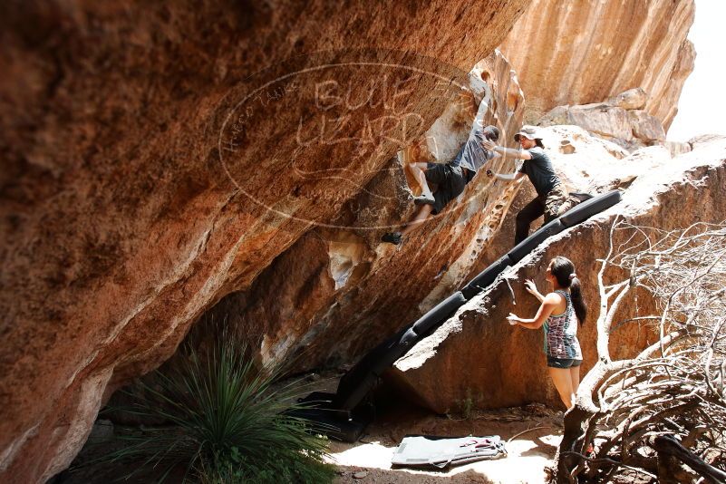 Bouldering in Hueco Tanks on 06/28/2019 with Blue Lizard Climbing and Yoga

Filename: SRM_20190628_1417050.jpg
Aperture: f/5.6
Shutter Speed: 1/320
Body: Canon EOS-1D Mark II
Lens: Canon EF 16-35mm f/2.8 L