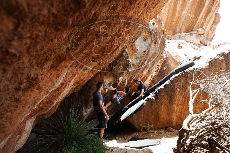 Bouldering in Hueco Tanks on 06/28/2019 with Blue Lizard Climbing and Yoga

Filename: SRM_20190628_1421280.jpg
Aperture: f/5.6
Shutter Speed: 1/320
Body: Canon EOS-1D Mark II
Lens: Canon EF 16-35mm f/2.8 L