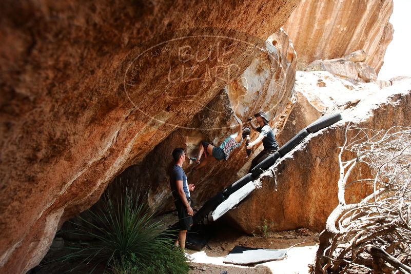 Bouldering in Hueco Tanks on 06/28/2019 with Blue Lizard Climbing and Yoga

Filename: SRM_20190628_1422460.jpg
Aperture: f/5.6
Shutter Speed: 1/320
Body: Canon EOS-1D Mark II
Lens: Canon EF 16-35mm f/2.8 L