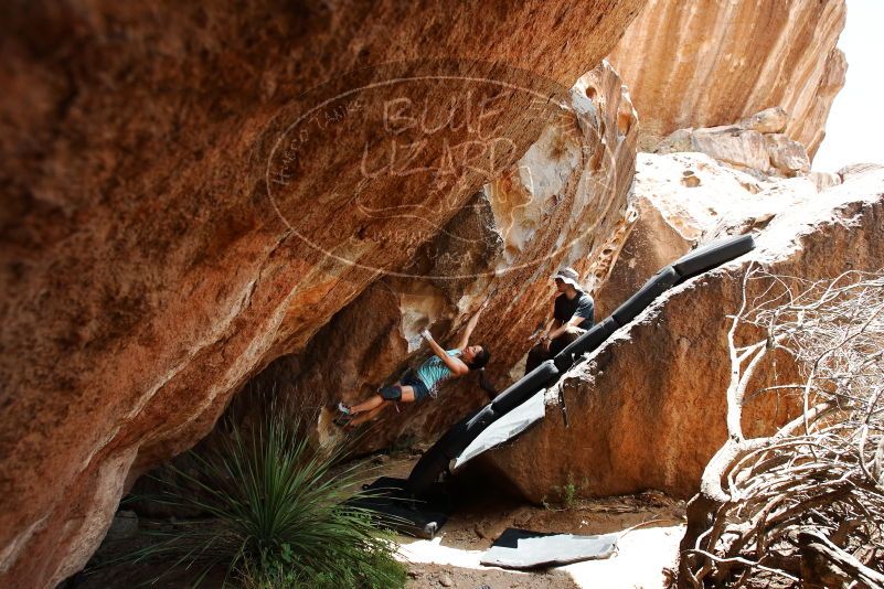 Bouldering in Hueco Tanks on 06/28/2019 with Blue Lizard Climbing and Yoga

Filename: SRM_20190628_1427170.jpg
Aperture: f/5.6
Shutter Speed: 1/320
Body: Canon EOS-1D Mark II
Lens: Canon EF 16-35mm f/2.8 L