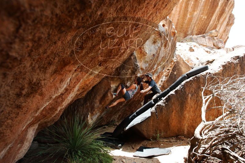 Bouldering in Hueco Tanks on 06/28/2019 with Blue Lizard Climbing and Yoga

Filename: SRM_20190628_1427380.jpg
Aperture: f/5.6
Shutter Speed: 1/400
Body: Canon EOS-1D Mark II
Lens: Canon EF 16-35mm f/2.8 L