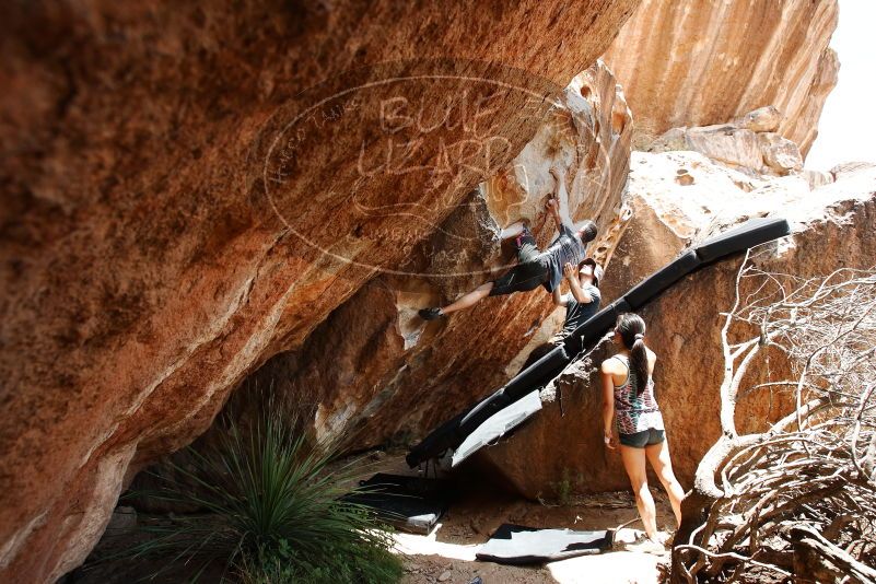 Bouldering in Hueco Tanks on 06/28/2019 with Blue Lizard Climbing and Yoga

Filename: SRM_20190628_1435351.jpg
Aperture: f/5.6
Shutter Speed: 1/320
Body: Canon EOS-1D Mark II
Lens: Canon EF 16-35mm f/2.8 L