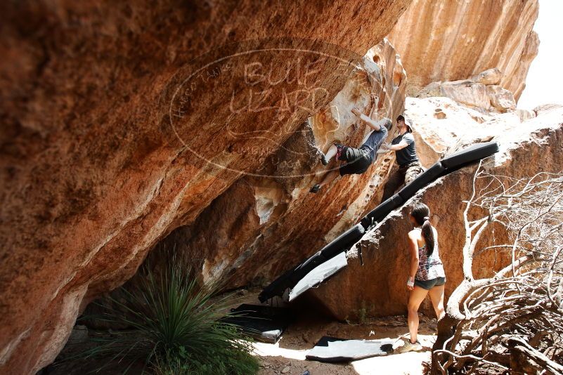 Bouldering in Hueco Tanks on 06/28/2019 with Blue Lizard Climbing and Yoga

Filename: SRM_20190628_1435450.jpg
Aperture: f/5.6
Shutter Speed: 1/320
Body: Canon EOS-1D Mark II
Lens: Canon EF 16-35mm f/2.8 L