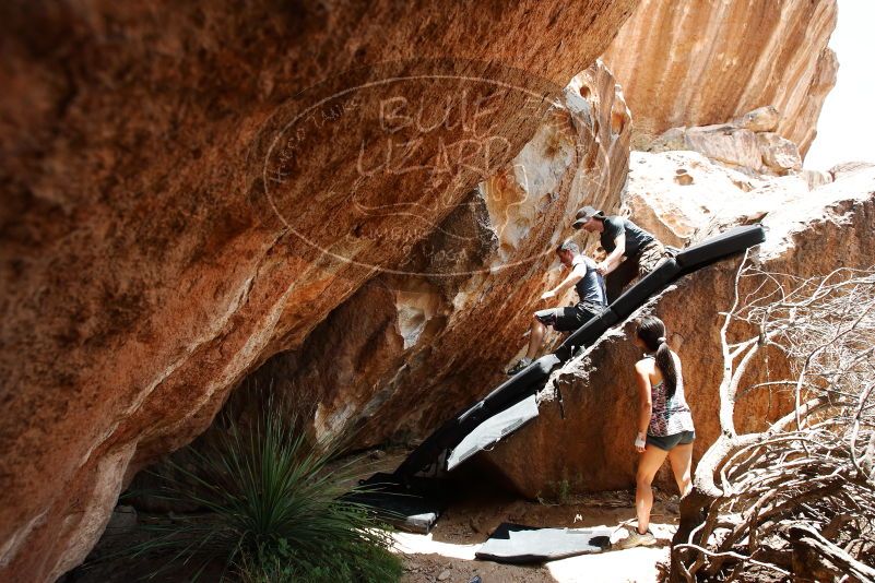 Bouldering in Hueco Tanks on 06/28/2019 with Blue Lizard Climbing and Yoga

Filename: SRM_20190628_1435510.jpg
Aperture: f/5.6
Shutter Speed: 1/400
Body: Canon EOS-1D Mark II
Lens: Canon EF 16-35mm f/2.8 L