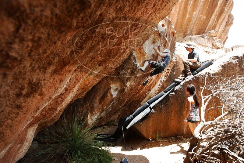 Bouldering in Hueco Tanks on 06/28/2019 with Blue Lizard Climbing and Yoga

Filename: SRM_20190628_1446250.jpg
Aperture: f/5.6
Shutter Speed: 1/400
Body: Canon EOS-1D Mark II
Lens: Canon EF 16-35mm f/2.8 L