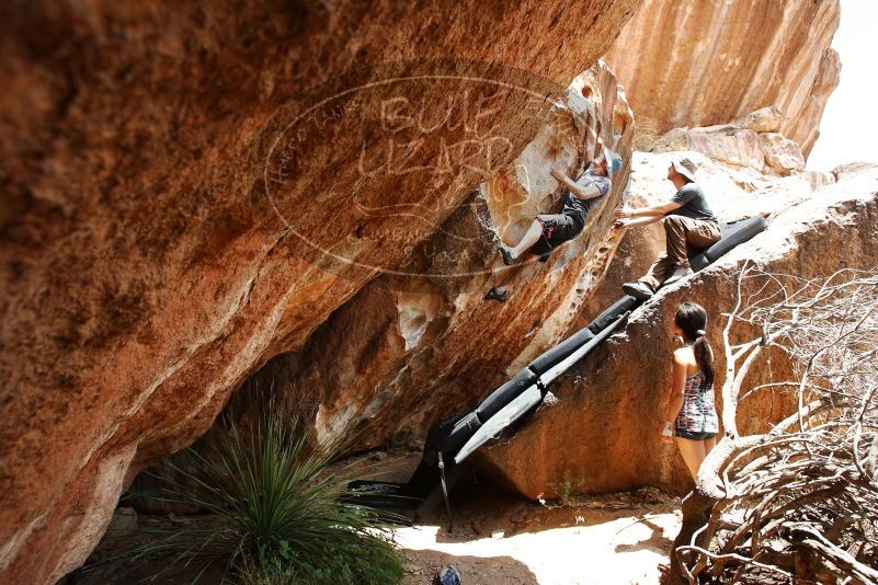 Bouldering in Hueco Tanks on 06/28/2019 with Blue Lizard Climbing and Yoga

Filename: SRM_20190628_1446280.jpg
Aperture: f/5.6
Shutter Speed: 1/400
Body: Canon EOS-1D Mark II
Lens: Canon EF 16-35mm f/2.8 L