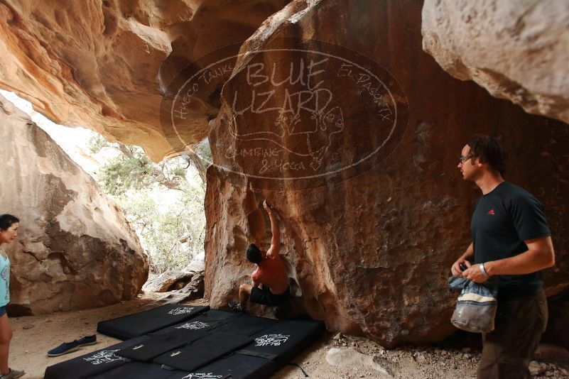 Bouldering in Hueco Tanks on 06/28/2019 with Blue Lizard Climbing and Yoga

Filename: SRM_20190628_1801351.jpg
Aperture: f/4.0
Shutter Speed: 1/125
Body: Canon EOS-1D Mark II
Lens: Canon EF 16-35mm f/2.8 L