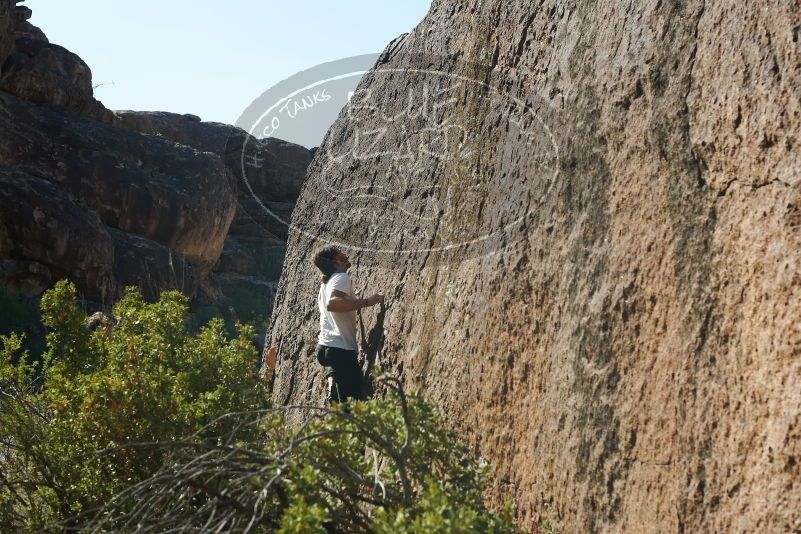 Bouldering in Hueco Tanks on 08/02/2019 with Blue Lizard Climbing and Yoga

Filename: SRM_20190802_1018090.jpg
Aperture: f/5.6
Shutter Speed: 1/400
Body: Canon EOS-1D Mark II
Lens: Canon EF 50mm f/1.8 II