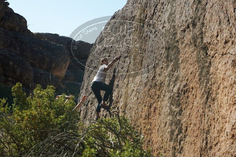 Bouldering in Hueco Tanks on 08/02/2019 with Blue Lizard Climbing and Yoga

Filename: SRM_20190802_1018270.jpg
Aperture: f/5.6
Shutter Speed: 1/400
Body: Canon EOS-1D Mark II
Lens: Canon EF 50mm f/1.8 II