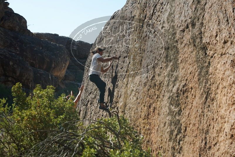 Bouldering in Hueco Tanks on 08/02/2019 with Blue Lizard Climbing and Yoga

Filename: SRM_20190802_1019070.jpg
Aperture: f/5.6
Shutter Speed: 1/400
Body: Canon EOS-1D Mark II
Lens: Canon EF 50mm f/1.8 II