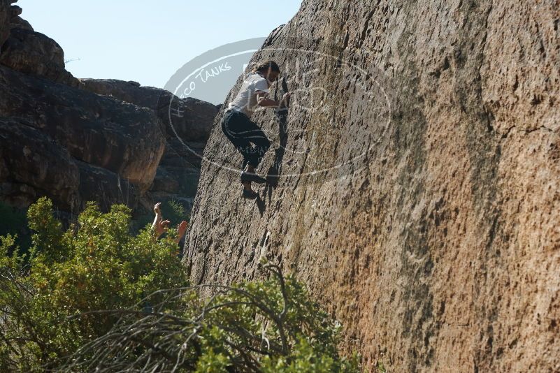 Bouldering in Hueco Tanks on 08/02/2019 with Blue Lizard Climbing and Yoga

Filename: SRM_20190802_1023290.jpg
Aperture: f/5.6
Shutter Speed: 1/400
Body: Canon EOS-1D Mark II
Lens: Canon EF 50mm f/1.8 II