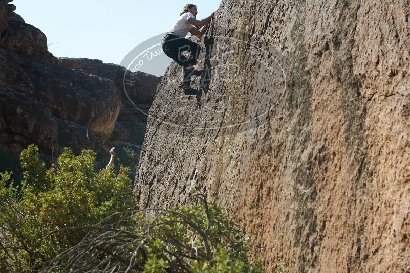 Bouldering in Hueco Tanks on 08/02/2019 with Blue Lizard Climbing and Yoga

Filename: SRM_20190802_1023380.jpg
Aperture: f/5.6
Shutter Speed: 1/400
Body: Canon EOS-1D Mark II
Lens: Canon EF 50mm f/1.8 II