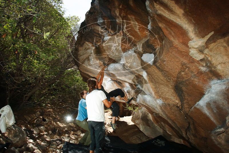 Bouldering in Hueco Tanks on 08/02/2019 with Blue Lizard Climbing and Yoga

Filename: SRM_20190802_1133190.jpg
Aperture: f/5.6
Shutter Speed: 1/250
Body: Canon EOS-1D Mark II
Lens: Canon EF 16-35mm f/2.8 L