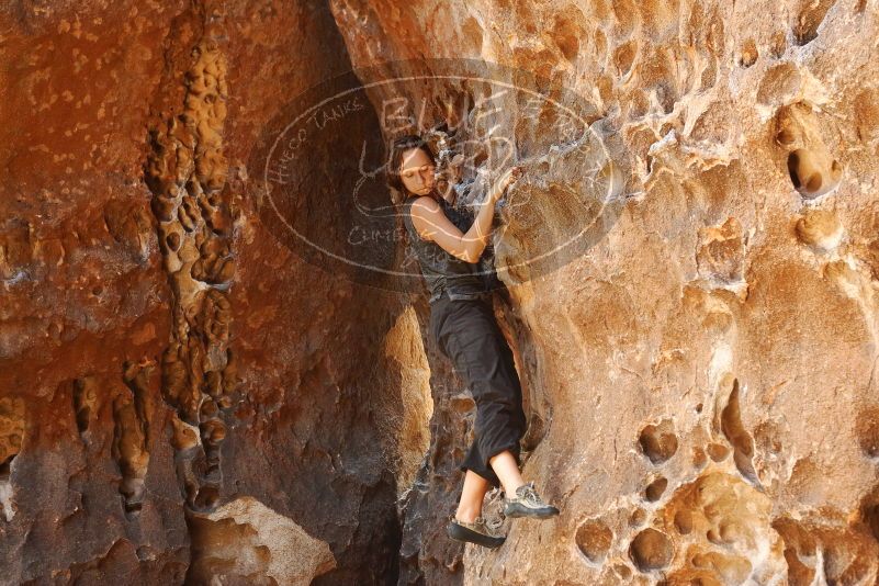 Bouldering in Hueco Tanks on 08/02/2019 with Blue Lizard Climbing and Yoga

Filename: SRM_20190802_1317460.jpg
Aperture: f/4.0
Shutter Speed: 1/125
Body: Canon EOS-1D Mark II
Lens: Canon EF 50mm f/1.8 II