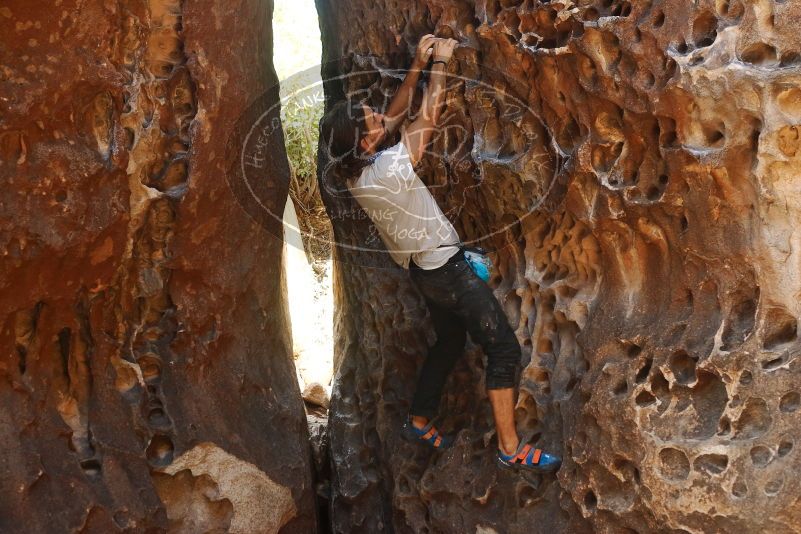 Bouldering in Hueco Tanks on 08/02/2019 with Blue Lizard Climbing and Yoga

Filename: SRM_20190802_1318360.jpg
Aperture: f/4.0
Shutter Speed: 1/160
Body: Canon EOS-1D Mark II
Lens: Canon EF 50mm f/1.8 II