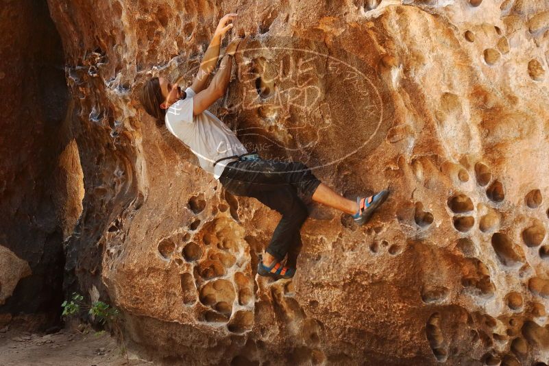 Bouldering in Hueco Tanks on 08/02/2019 with Blue Lizard Climbing and Yoga

Filename: SRM_20190802_1319260.jpg
Aperture: f/4.0
Shutter Speed: 1/250
Body: Canon EOS-1D Mark II
Lens: Canon EF 50mm f/1.8 II