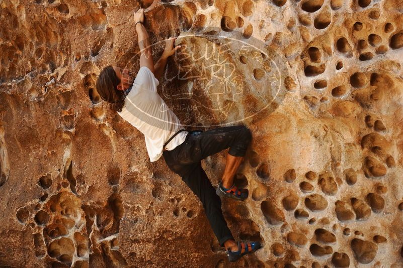 Bouldering in Hueco Tanks on 08/02/2019 with Blue Lizard Climbing and Yoga

Filename: SRM_20190802_1319350.jpg
Aperture: f/4.0
Shutter Speed: 1/320
Body: Canon EOS-1D Mark II
Lens: Canon EF 50mm f/1.8 II