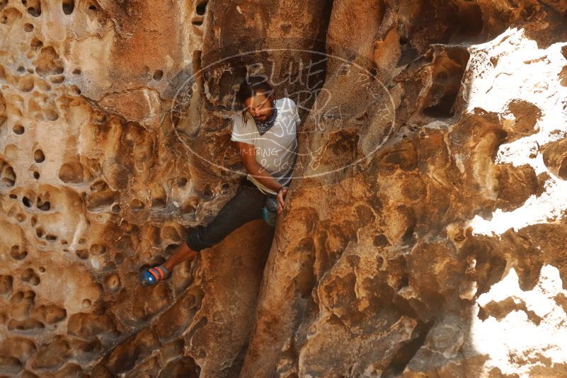 Bouldering in Hueco Tanks on 08/02/2019 with Blue Lizard Climbing and Yoga

Filename: SRM_20190802_1321500.jpg
Aperture: f/4.0
Shutter Speed: 1/400
Body: Canon EOS-1D Mark II
Lens: Canon EF 50mm f/1.8 II