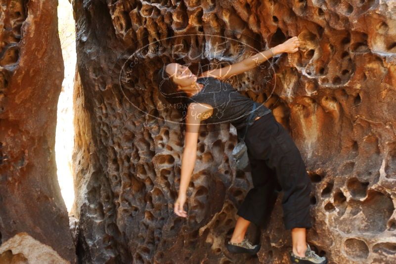 Bouldering in Hueco Tanks on 08/02/2019 with Blue Lizard Climbing and Yoga

Filename: SRM_20190802_1322070.jpg
Aperture: f/4.0
Shutter Speed: 1/100
Body: Canon EOS-1D Mark II
Lens: Canon EF 50mm f/1.8 II