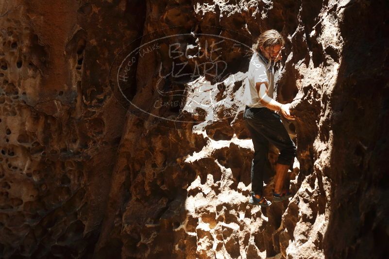 Bouldering in Hueco Tanks on 08/02/2019 with Blue Lizard Climbing and Yoga

Filename: SRM_20190802_1322180.jpg
Aperture: f/4.0
Shutter Speed: 1/1250
Body: Canon EOS-1D Mark II
Lens: Canon EF 50mm f/1.8 II