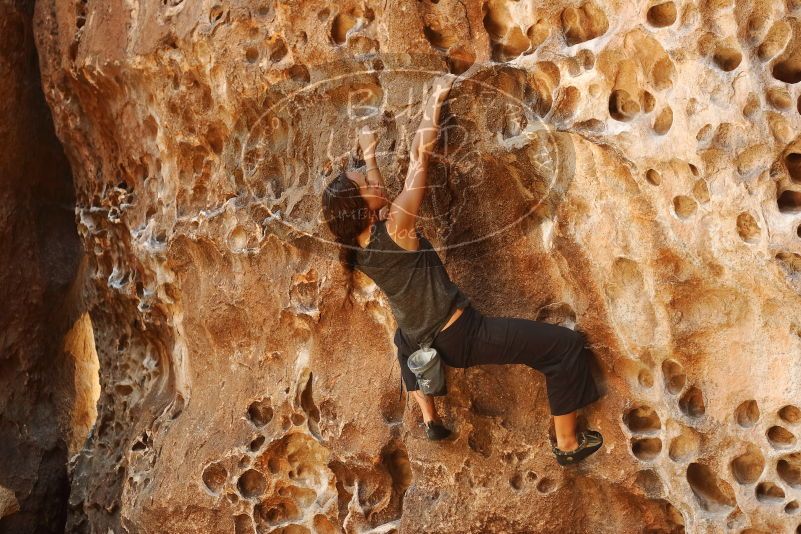 Bouldering in Hueco Tanks on 08/02/2019 with Blue Lizard Climbing and Yoga

Filename: SRM_20190802_1324240.jpg
Aperture: f/4.0
Shutter Speed: 1/200
Body: Canon EOS-1D Mark II
Lens: Canon EF 50mm f/1.8 II