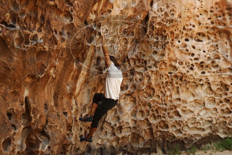 Bouldering in Hueco Tanks on 08/02/2019 with Blue Lizard Climbing and Yoga

Filename: SRM_20190802_1330290.jpg
Aperture: f/4.0
Shutter Speed: 1/320
Body: Canon EOS-1D Mark II
Lens: Canon EF 50mm f/1.8 II