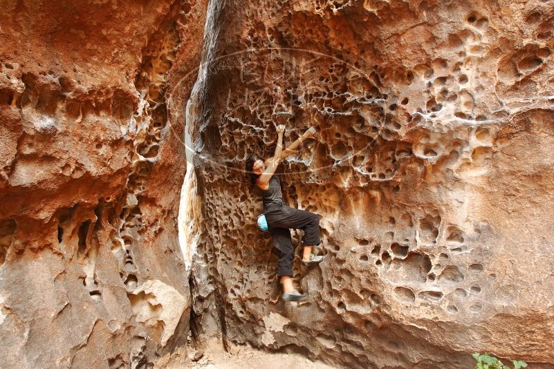 Bouldering in Hueco Tanks on 08/02/2019 with Blue Lizard Climbing and Yoga

Filename: SRM_20190802_1442400.jpg
Aperture: f/5.6
Shutter Speed: 1/40
Body: Canon EOS-1D Mark II
Lens: Canon EF 16-35mm f/2.8 L