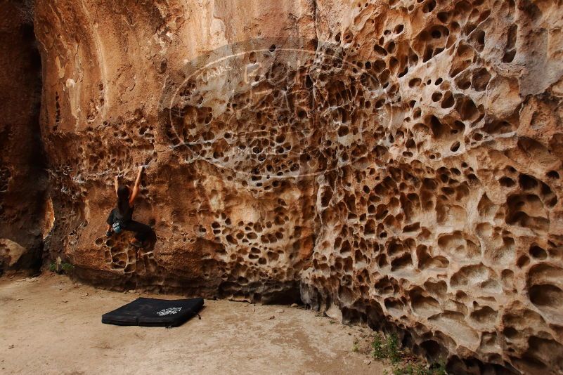 Bouldering in Hueco Tanks on 08/02/2019 with Blue Lizard Climbing and Yoga

Filename: SRM_20190802_1443100.jpg
Aperture: f/5.6
Shutter Speed: 1/125
Body: Canon EOS-1D Mark II
Lens: Canon EF 16-35mm f/2.8 L