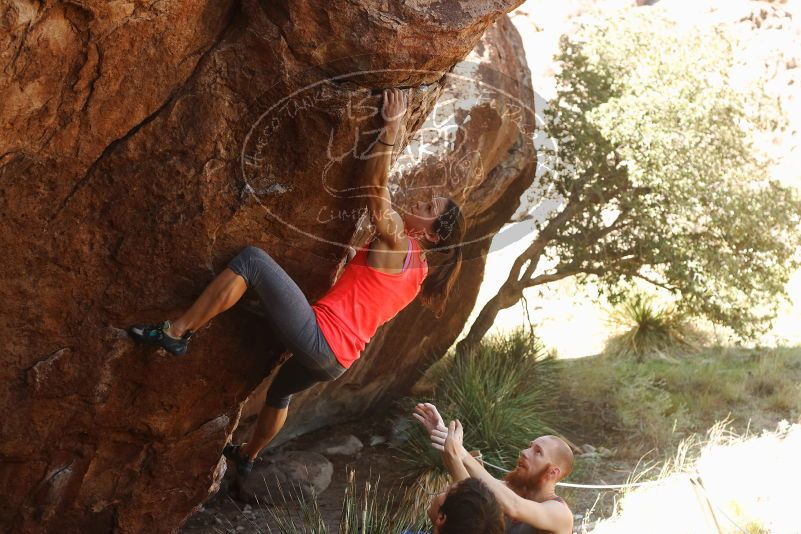 Bouldering in Hueco Tanks on 08/31/2019 with Blue Lizard Climbing and Yoga

Filename: SRM_20190831_1102240.jpg
Aperture: f/4.0
Shutter Speed: 1/320
Body: Canon EOS-1D Mark II
Lens: Canon EF 50mm f/1.8 II