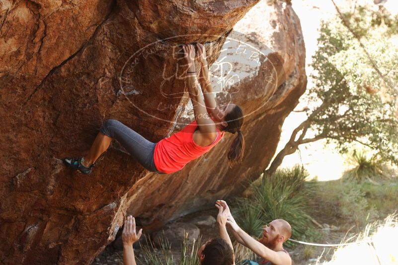 Bouldering in Hueco Tanks on 08/31/2019 with Blue Lizard Climbing and Yoga

Filename: SRM_20190831_1102270.jpg
Aperture: f/4.0
Shutter Speed: 1/250
Body: Canon EOS-1D Mark II
Lens: Canon EF 50mm f/1.8 II