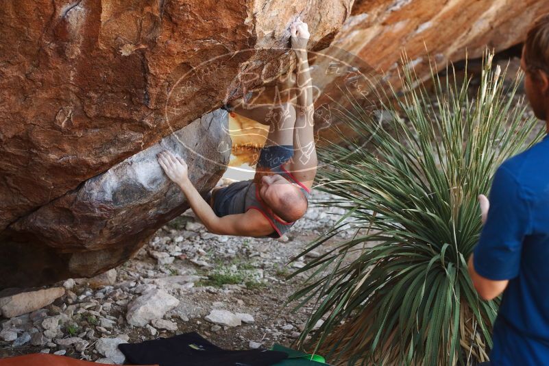 Bouldering in Hueco Tanks on 08/31/2019 with Blue Lizard Climbing and Yoga

Filename: SRM_20190831_1109510.jpg
Aperture: f/3.5
Shutter Speed: 1/250
Body: Canon EOS-1D Mark II
Lens: Canon EF 50mm f/1.8 II